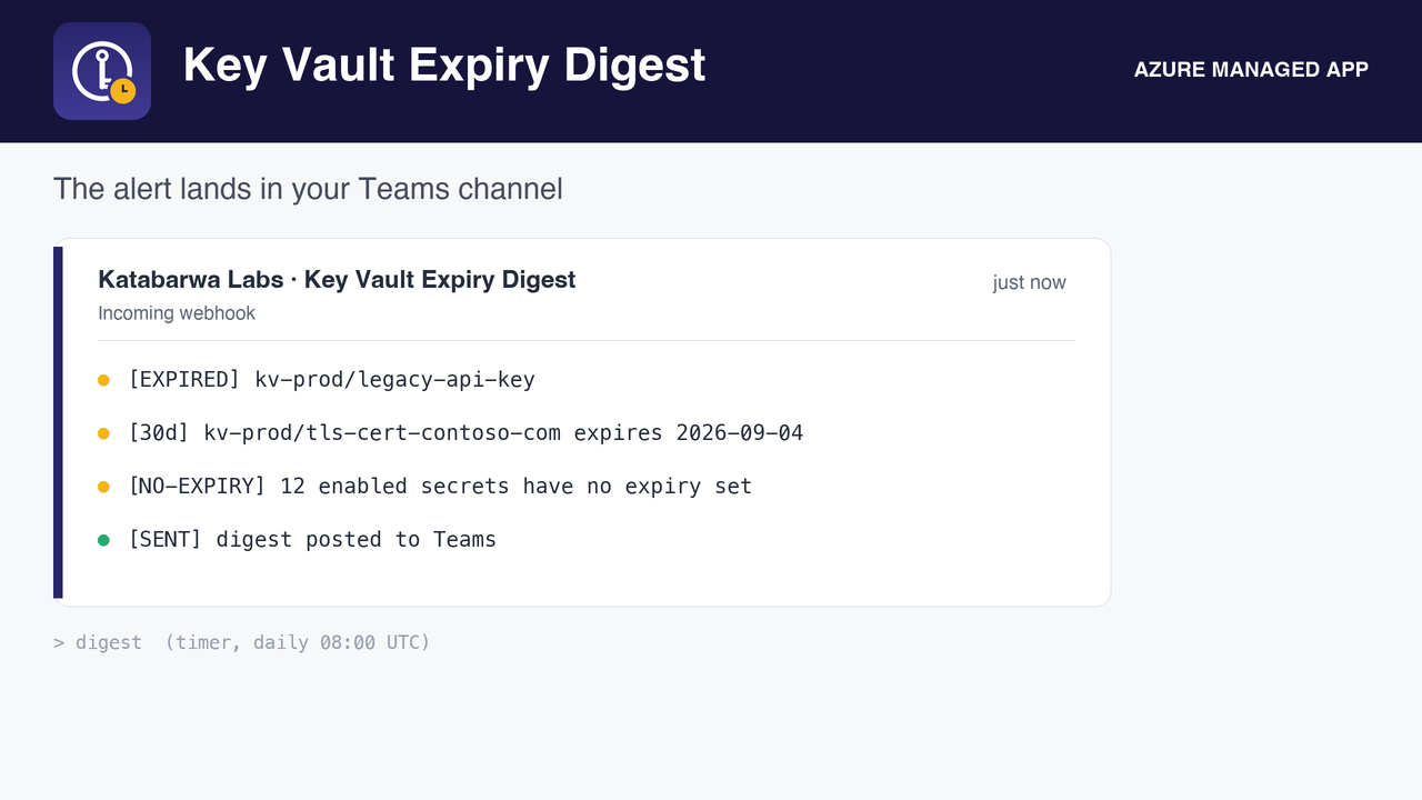 Scan history in your own Application Insights.