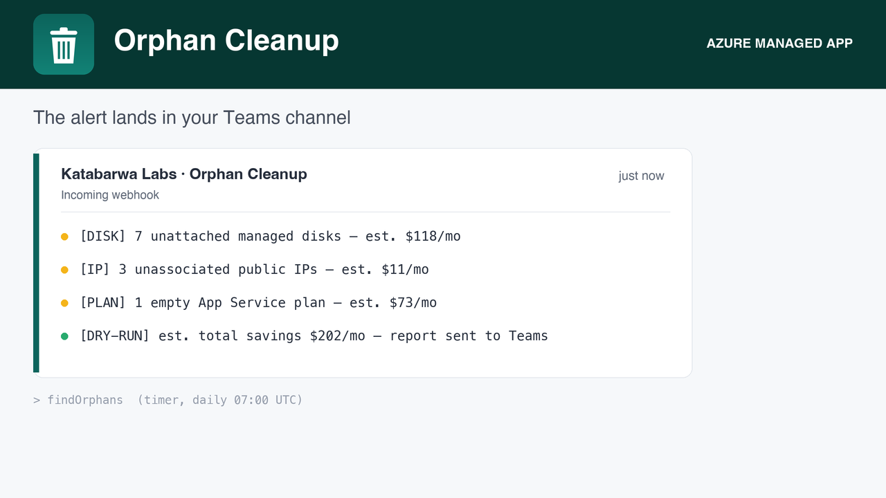Cleanup mode, once enabled, records exactly what it removed.