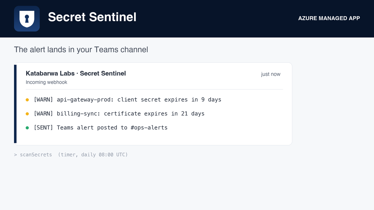 Function traces in your own Application Insights, so you can see each scan run.